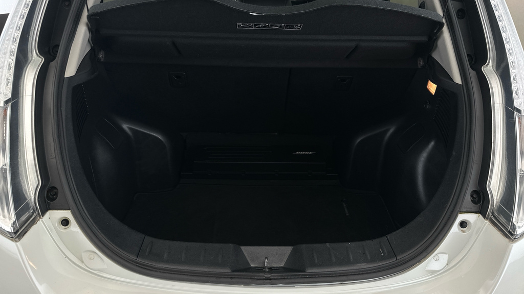 Nissan Leaf Leaf #19