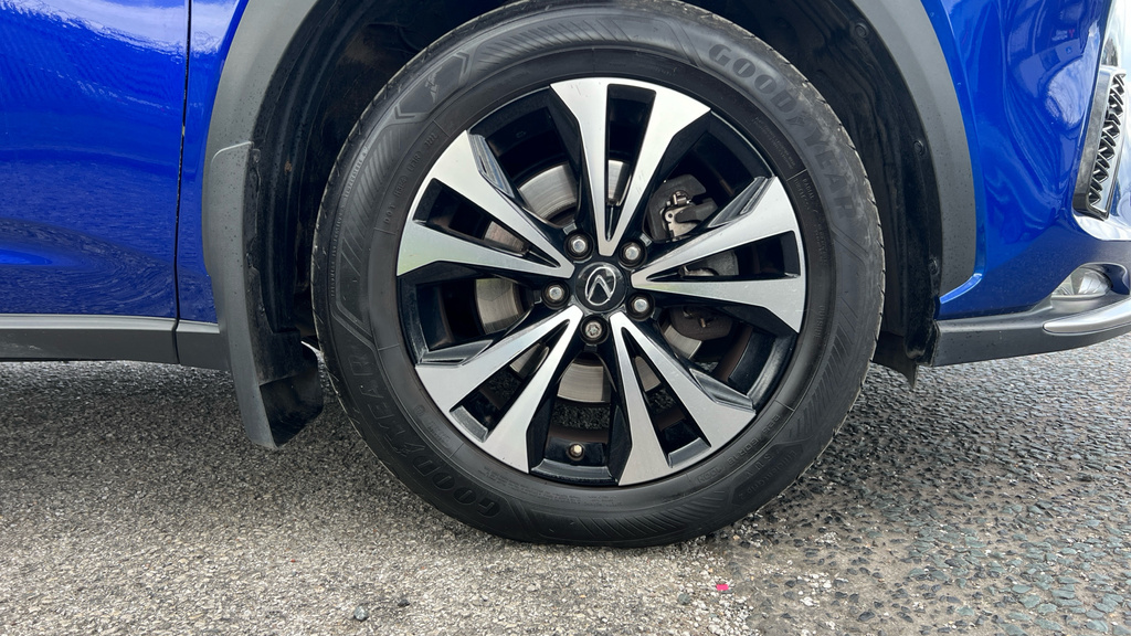 Lexus NX 2.5L Nx White #20