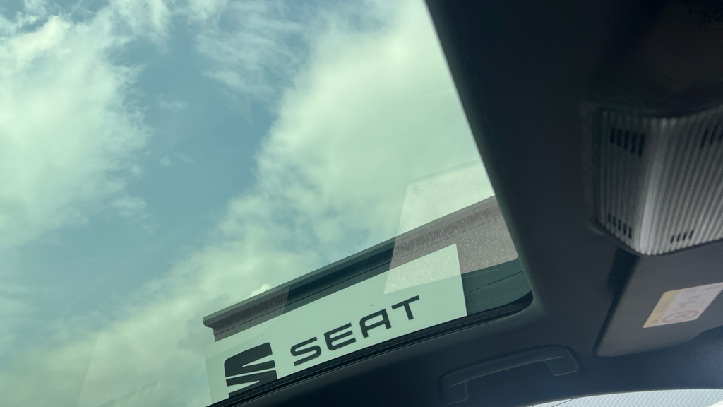 Cupra Tavascan V1 Beige #39