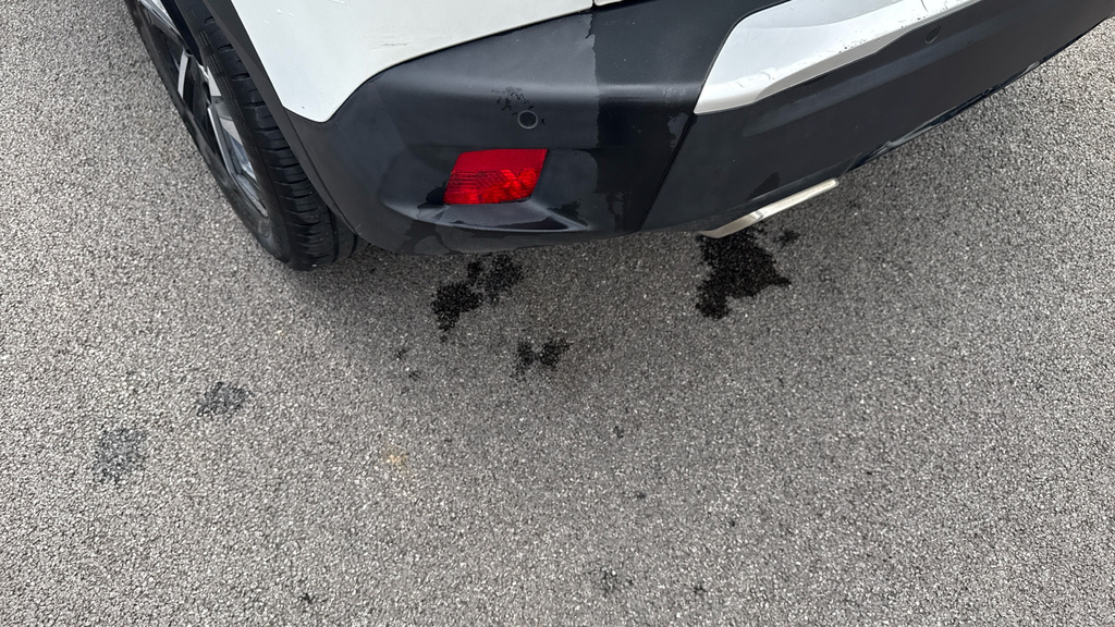 Peugeot 2008 Active Grey #5