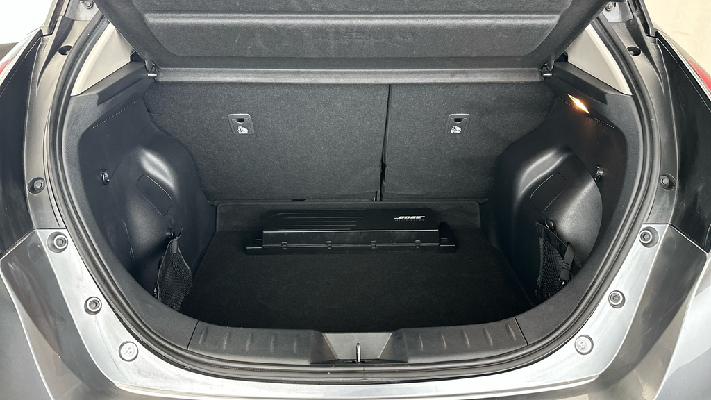 Nissan Leaf #22