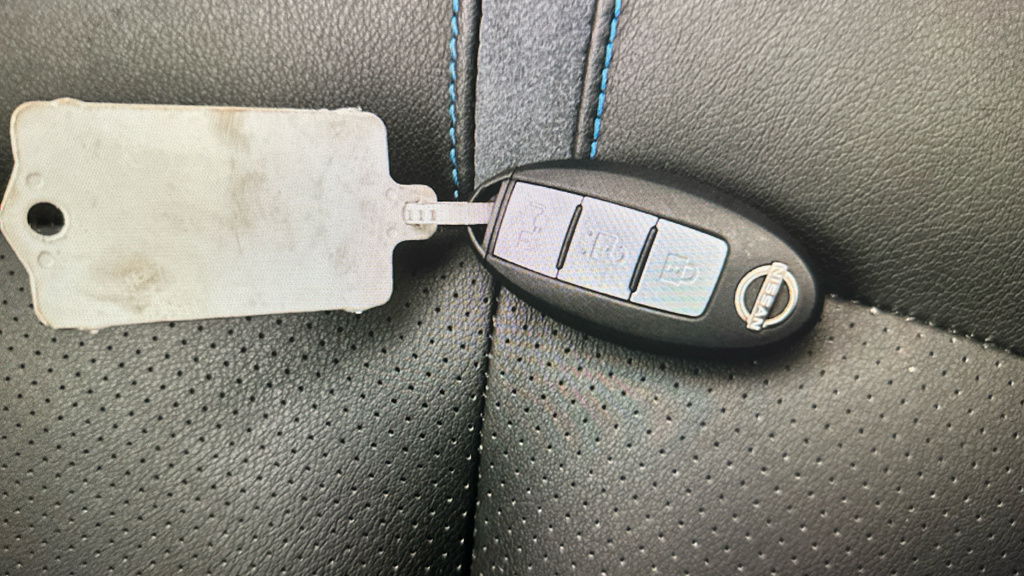 Nissan Leaf #18