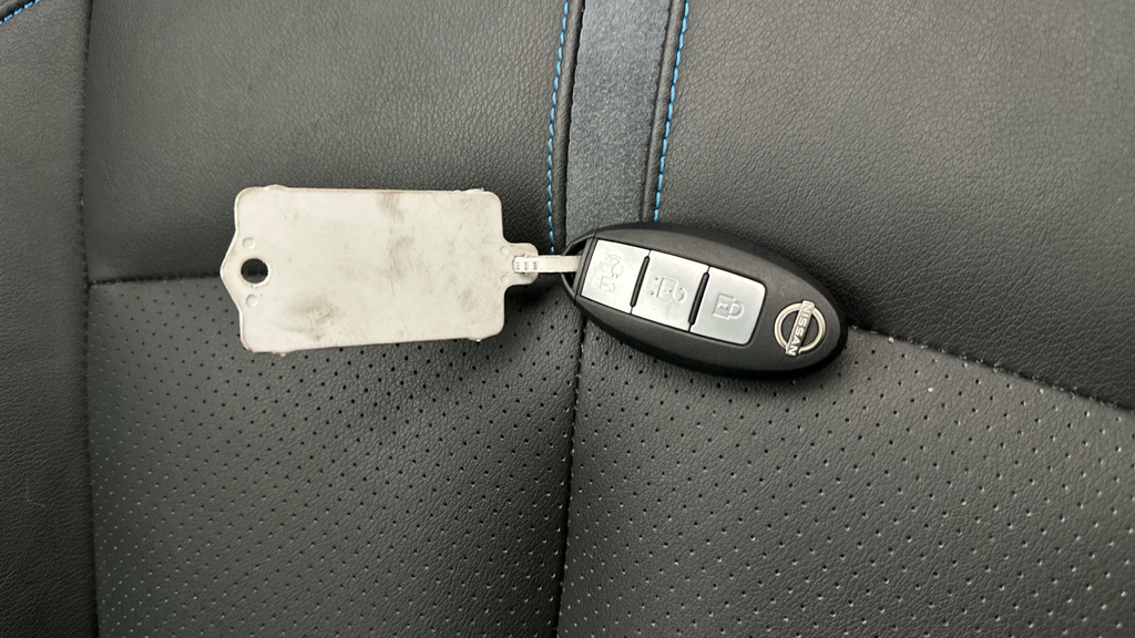 Nissan Leaf #29