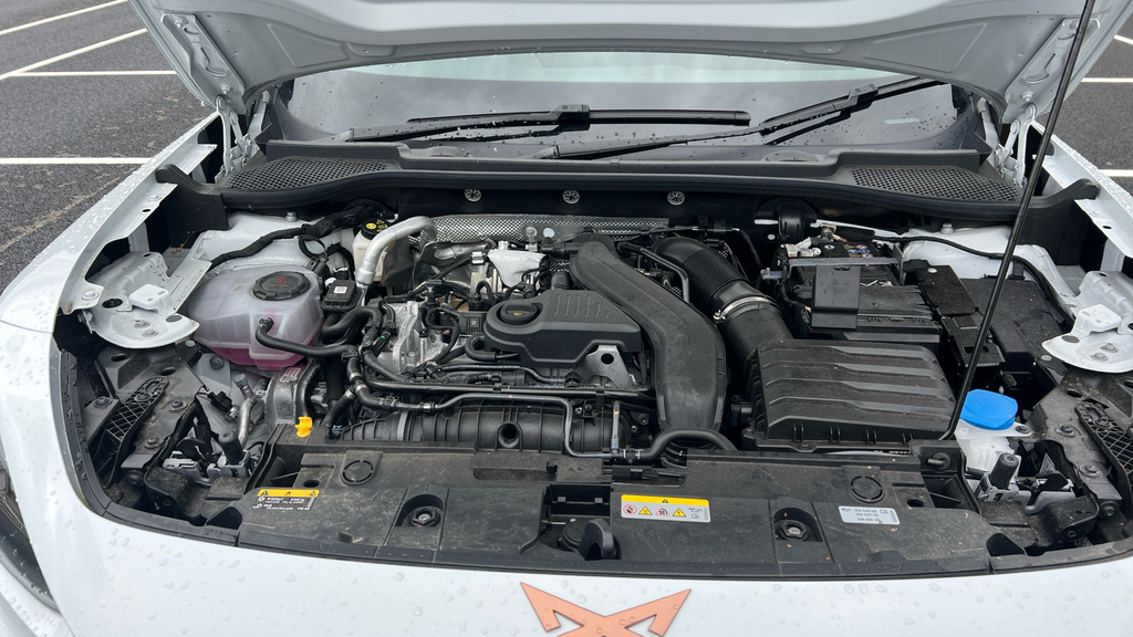 Cupra Formentor Vz1 2.0 Tsi 4Drive 333 7-Speed White #16