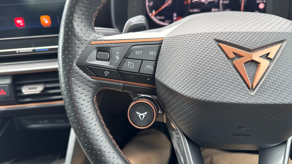 Cupra Formentor V2 Black #24