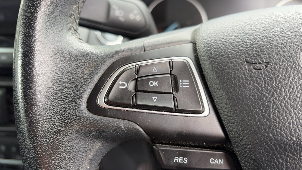 Ford Ecosport St-line Grey #33
