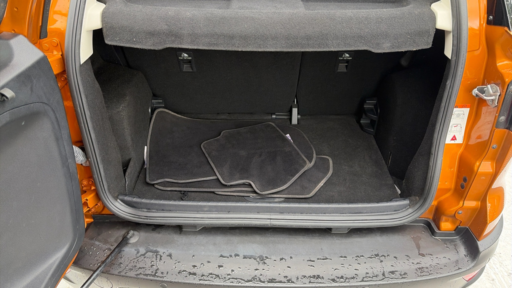 Ford Ecosport St-line Grey #25
