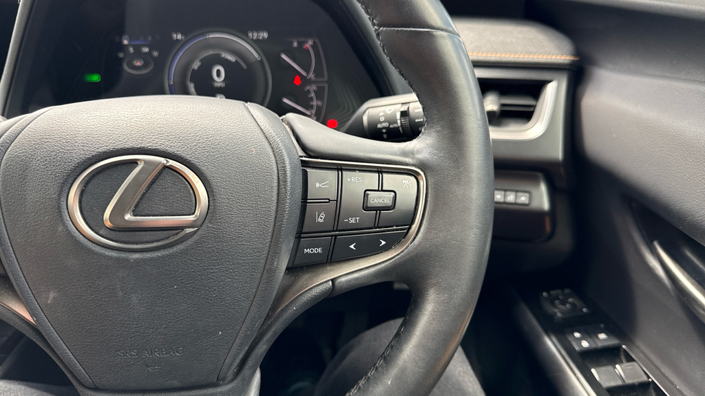 Lexus UX Ux 300E White #19
