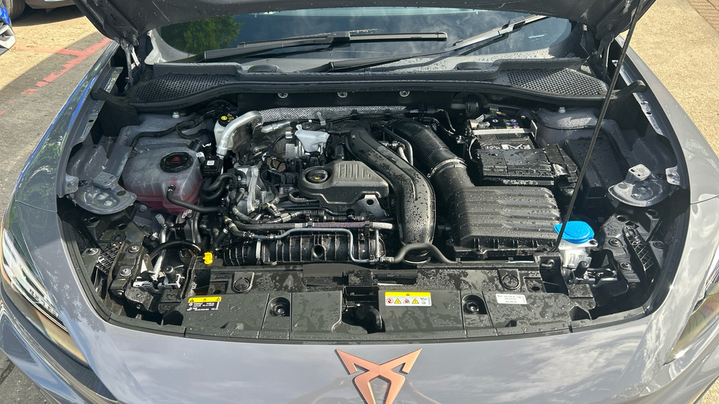 Cupra Formentor 1.5L V2 Grey #32