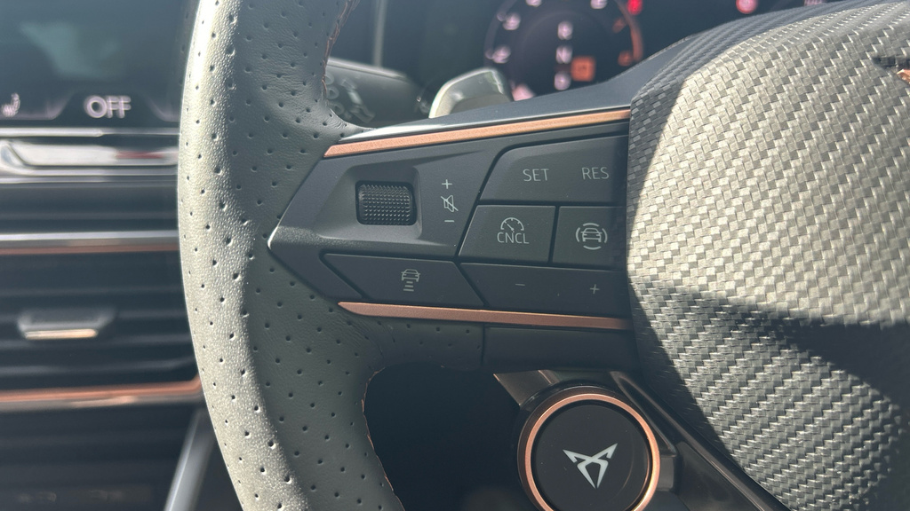 Cupra Formentor 1.5L V2 Grey #24