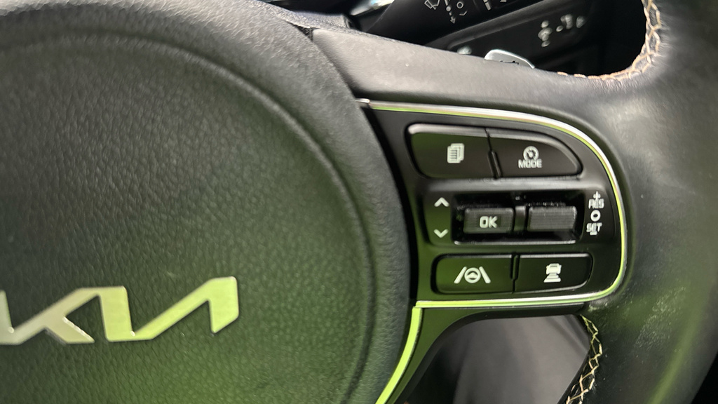 Kia e-Niro 64.8 Kwh 3 Grey #25