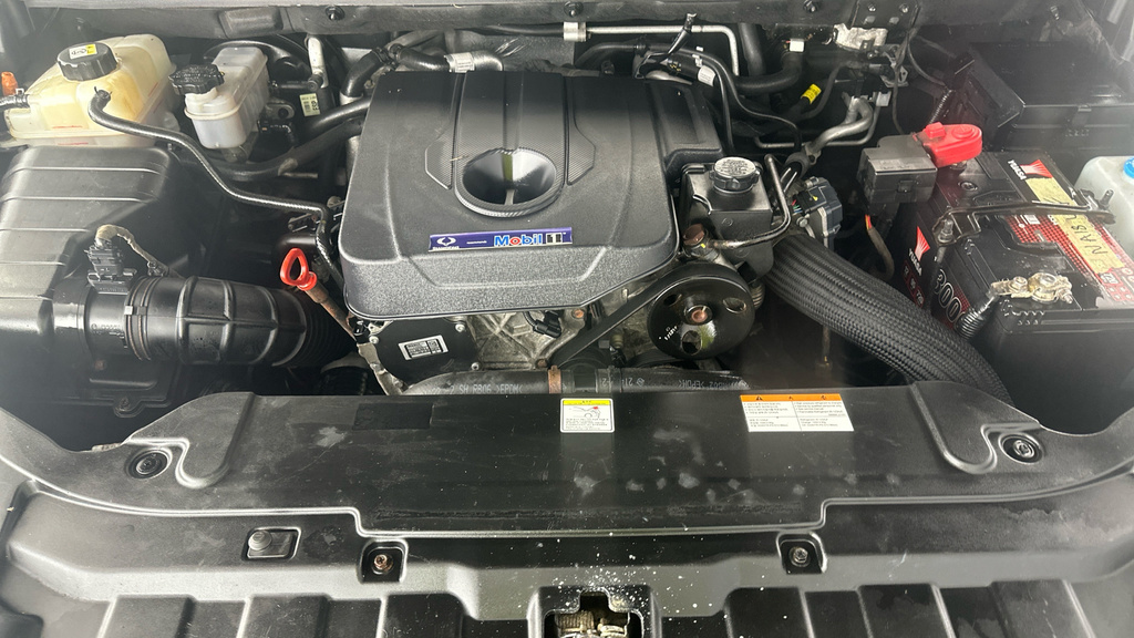 SsangYong Turismo D Ex Grey #20