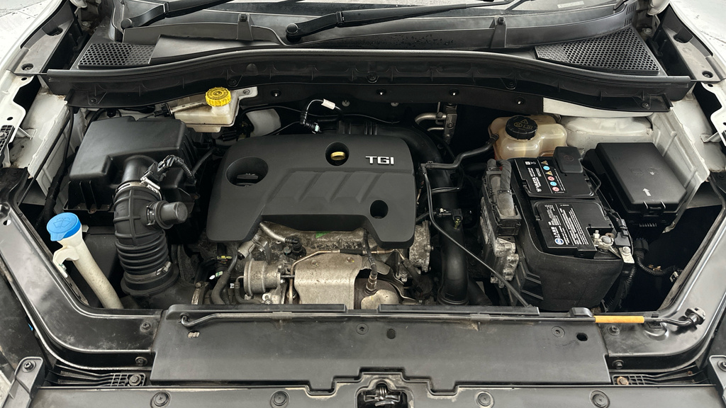 MG ZS 44.5Kwh Excite Red #23