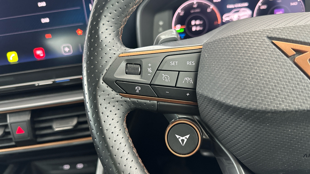 Cupra Formentor 1.5 Tsi 150 V2 Dsg Black #13