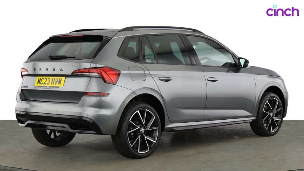 Skoda Kamiq Se Drive Silver #3