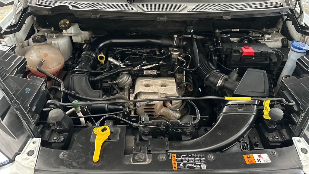Ford Ecosport Grey #21