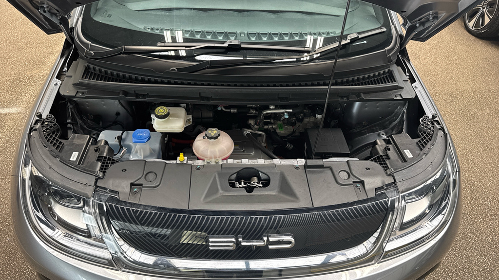 Byd Dolphin 60.48Kwh Comfort Hatchback 204 Pink #16