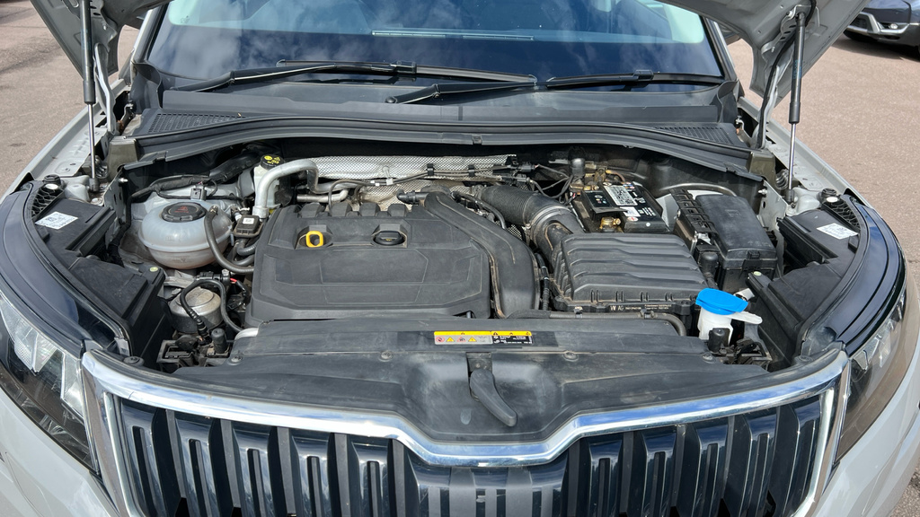 Skoda Kodiaq  Grey #21