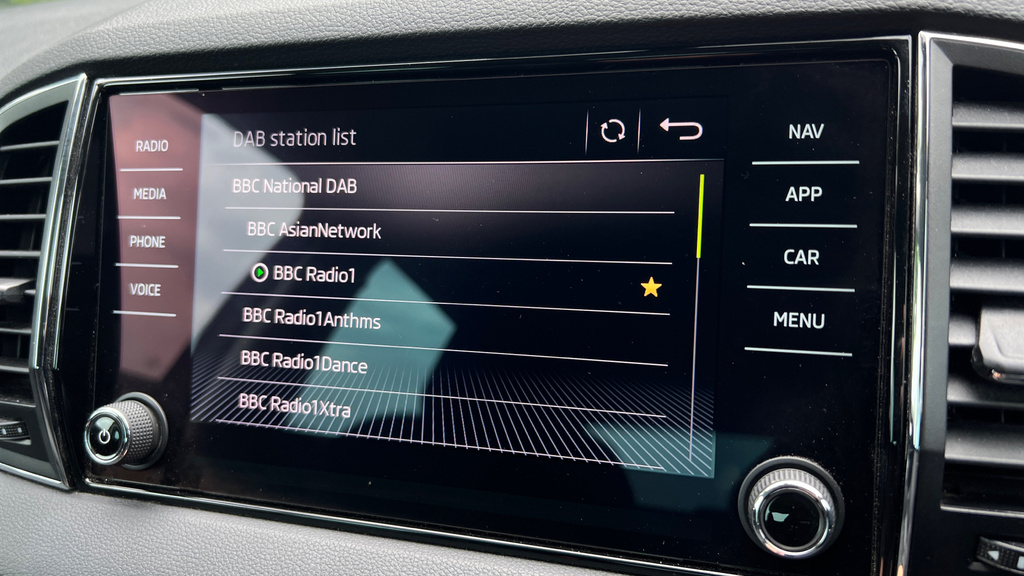 Skoda Karoq Se Grey #20