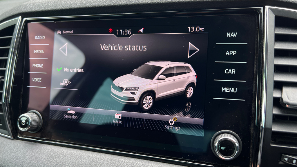 Skoda Karoq Se Grey #32