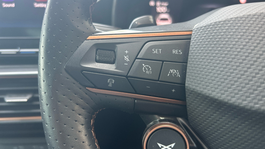 Cupra Formentor 1.5 Tsi V2 Suv Dsg Black #14