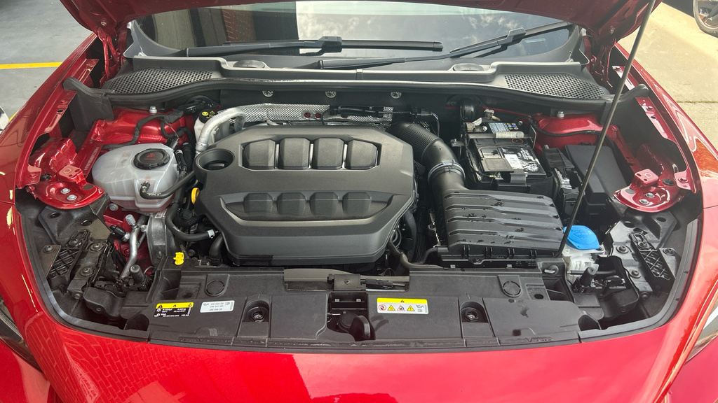Cupra Formentor 1.5 Tsi V2 Suv Dsg Black #26