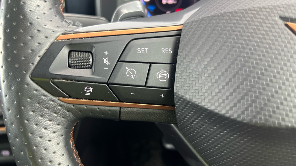 Cupra Formentor 2.0 Tsi 310 Vz2 Dsg 4Drive Grey #18