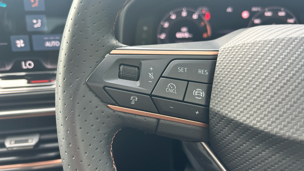 Cupra Formentor Formentor 2.0 Tsi 333 Vz1 Dsg 4Drive Grey #21
