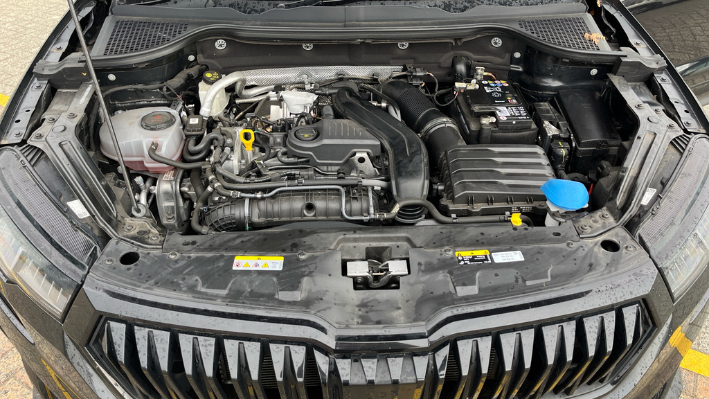 Skoda Karoq Se L Grey #25