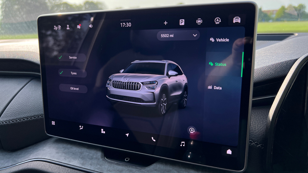 Skoda Kodiaq Se Grey #35