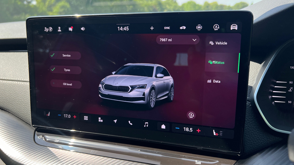 Skoda Octavia 2.0 Tsi Vrs Dsg Purple #34