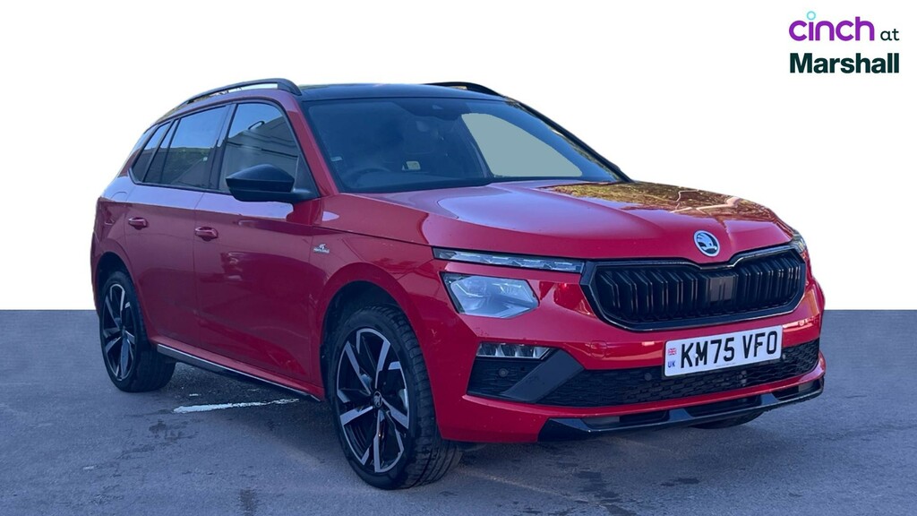 Skoda Kamiq 1.0 Tsi Se Dsg Grey #1