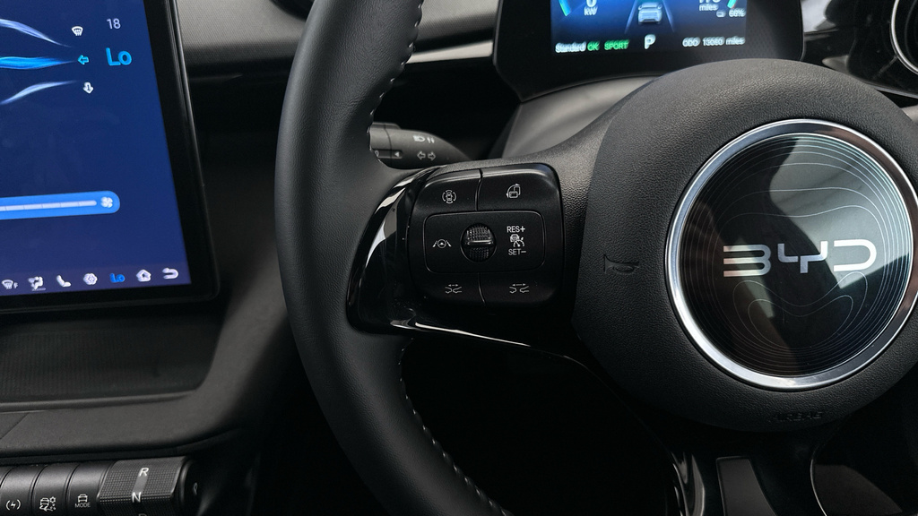 Byd Dolphin 150Kw Comfort 60.4Kwh Black #15