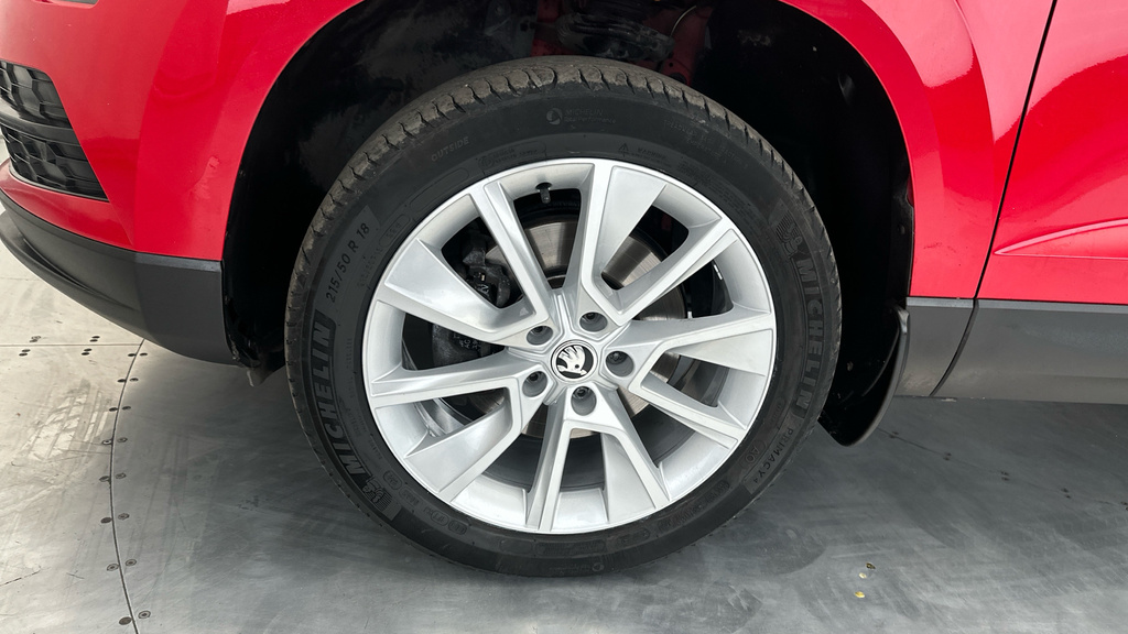 Skoda Karoq Edition Grey #24