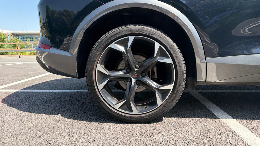 Cupra Formentor 2.0 Tsi 310 Vzn Dsg 4Drive Black #19
