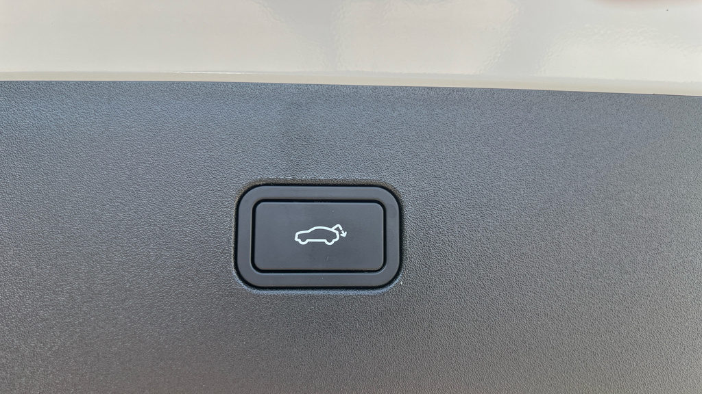 Volvo EX30 Ultra, Twin Motor Performance Panoramic Sunroof Grey #37