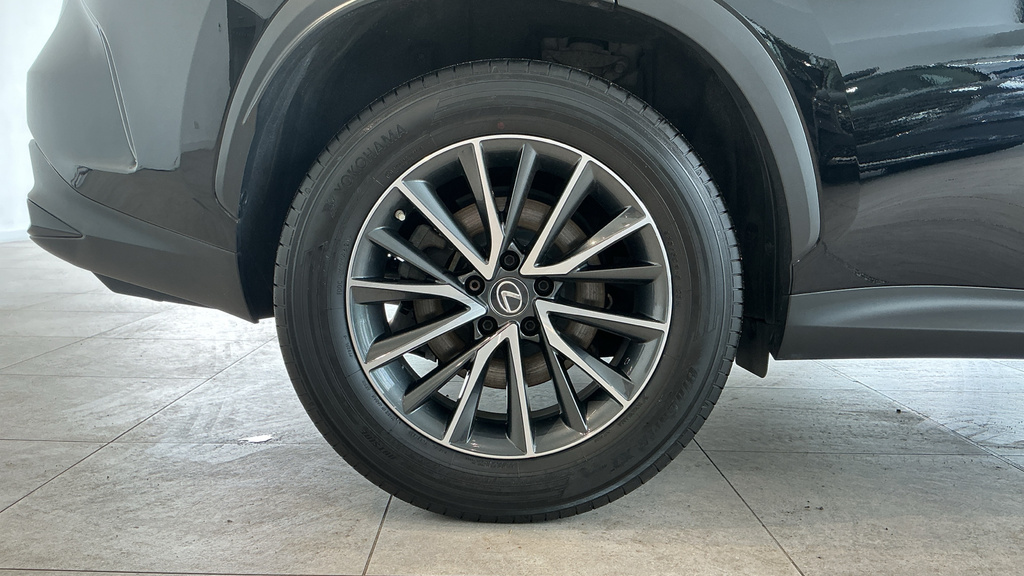Lexus NX 450H 2.5 Takumi E-cvt Sunroof Green #26