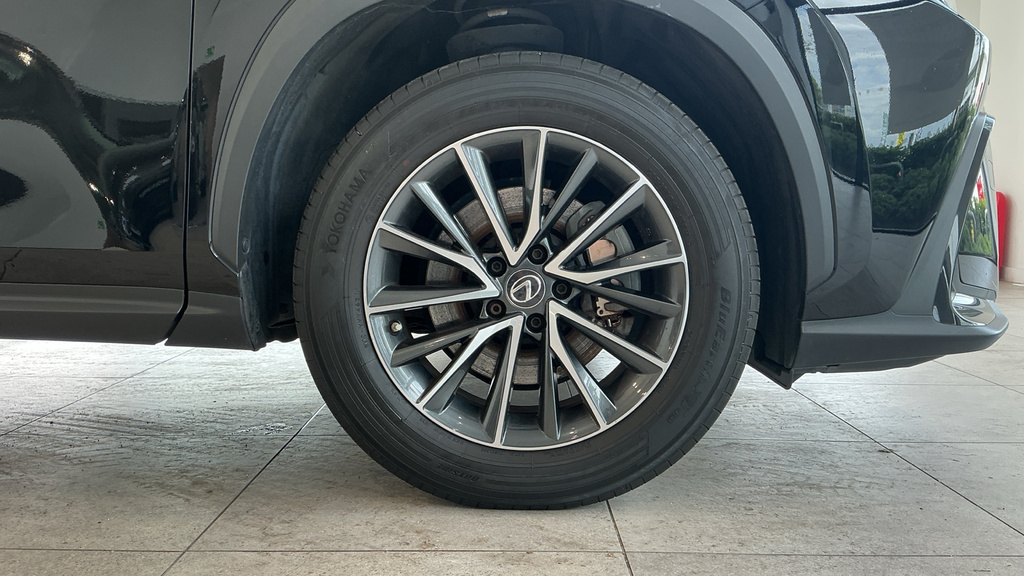 Lexus NX 450H 2.5 Takumi E-cvt Sunroof Green #27