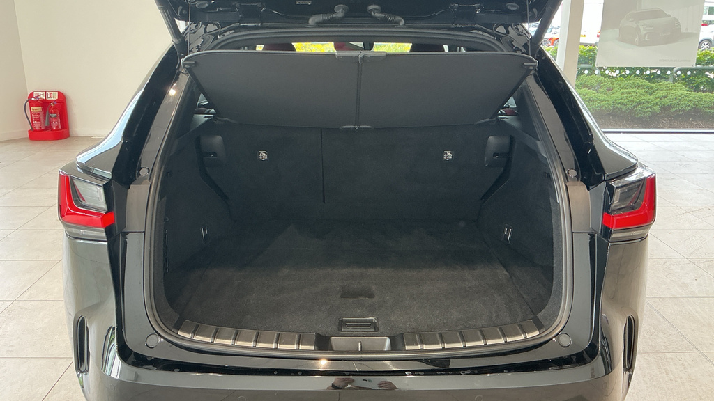 Lexus NX 450H 2.5 Takumi E-cvt Sunroof Green #22