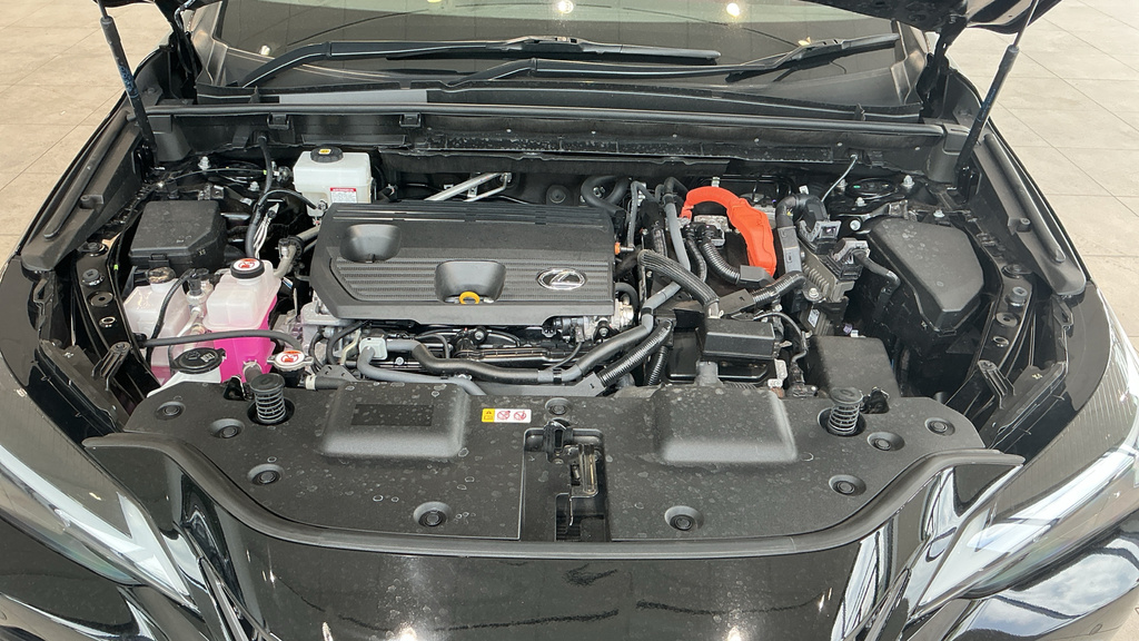 Lexus NX 450H 2.5 Takumi E-cvt Sunroof Green #23