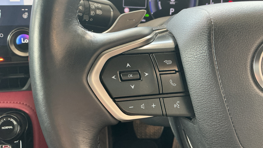 Lexus NX 450H 2.5 Takumi E-cvt Sunroof Green #17