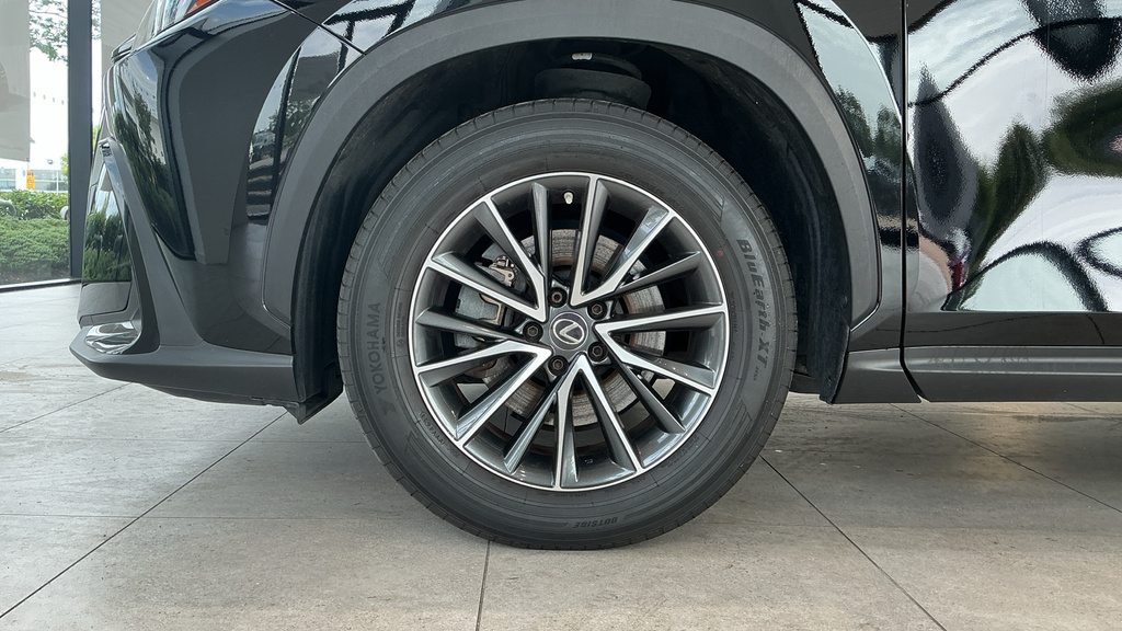 Lexus NX 450H 2.5 Takumi E-cvt Sunroof Green #24