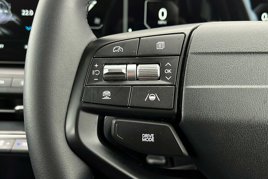 Kia 148Kw Gt-line S 81.4Kwh Black #19