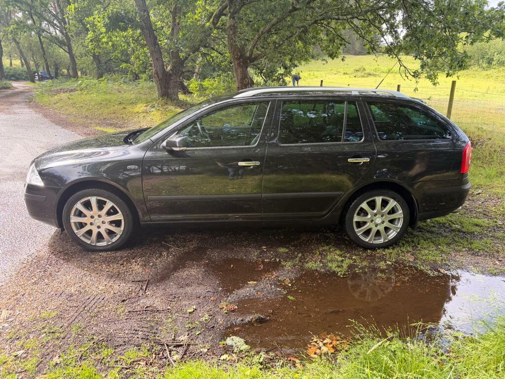 Skoda Octavia Tdi Elegance Red #7
