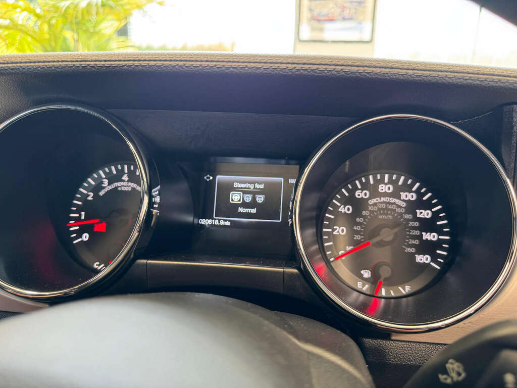 Ford Mustang 2.3T Ecoboost Fastback Euro 6 Grey #29