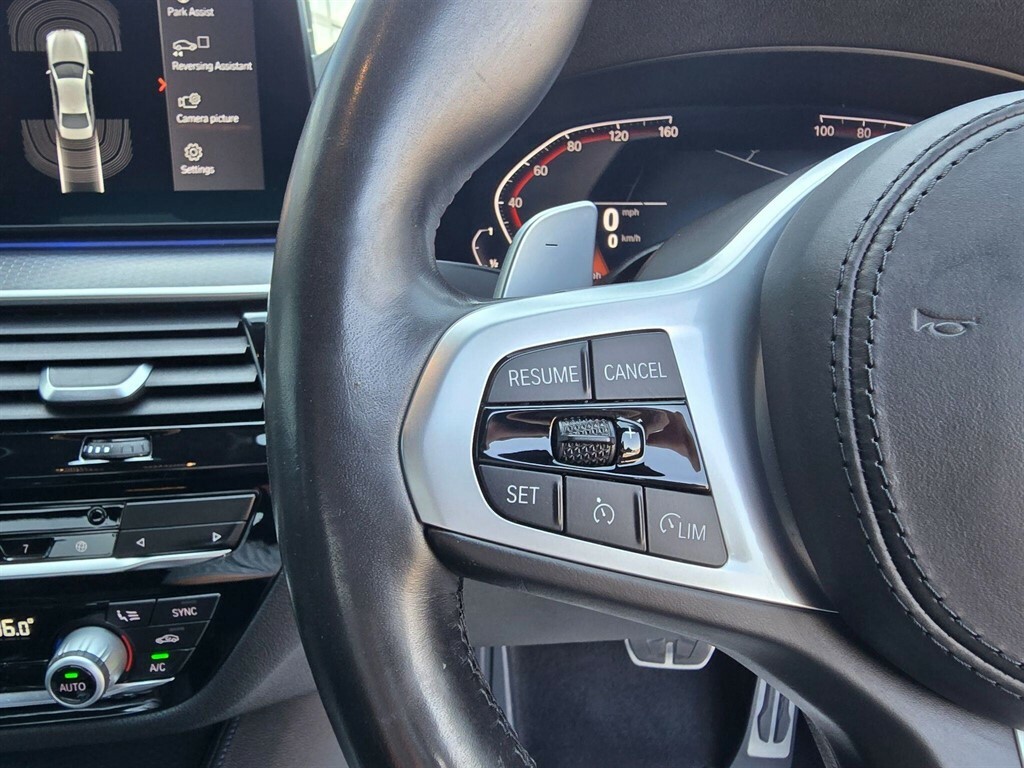 BMW 5 Series 530D M Sport Blue #31