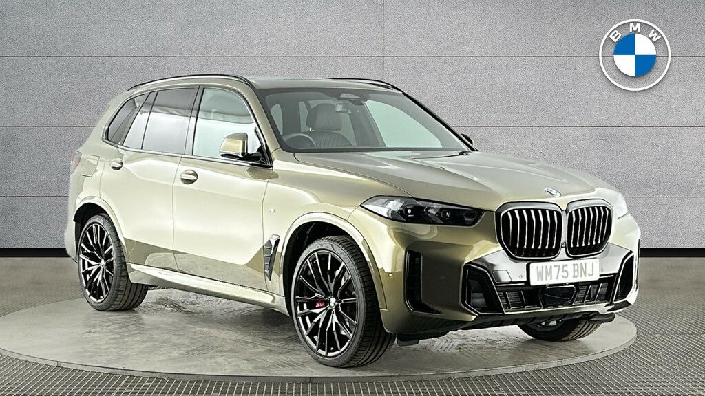 BMW X5 X5 Xdrive40d M Sport Brown