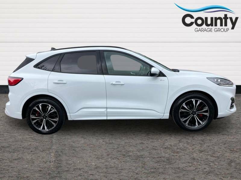 Ford Kuga 2.5 Fhev St-line X Edition Cvt - 2024 24 WR24BFZ White #5