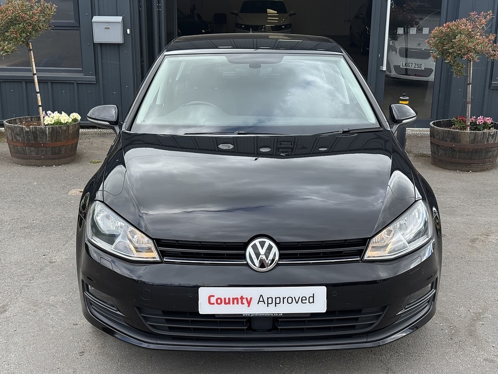 Volkswagen Golf Tdi Bluemotion Tech Se Silver #2