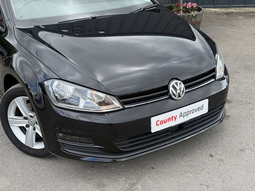 Volkswagen Golf Tdi Bluemotion Tech Se Silver #3